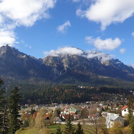 Vila Alunis Buşteni Zewnętrze zdjęcie