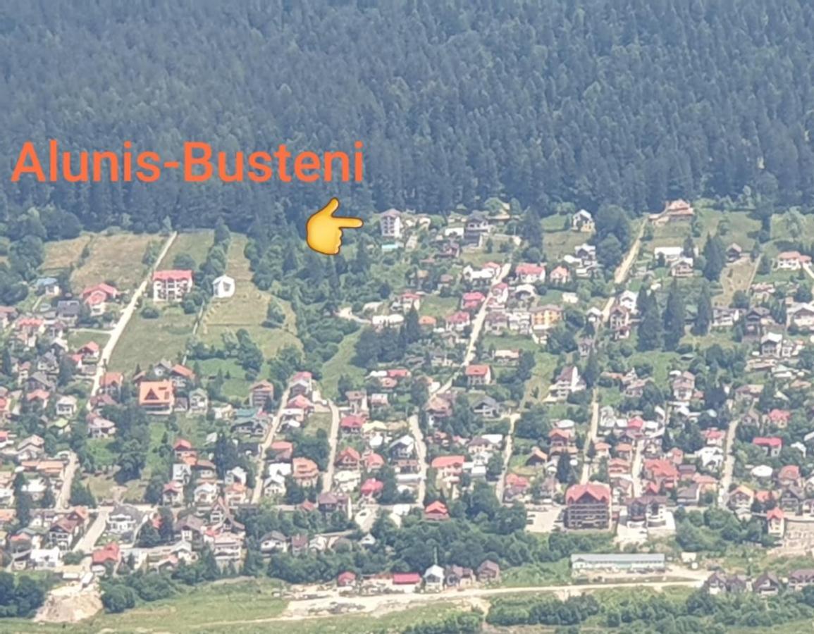 Vila Alunis Buşteni Zewnętrze zdjęcie
