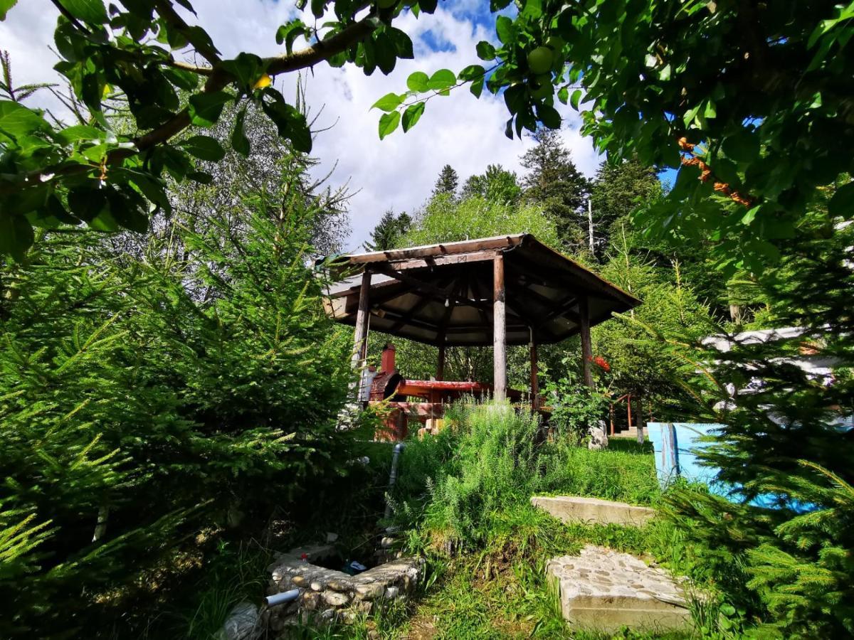 Vila Alunis Buşteni Zewnętrze zdjęcie