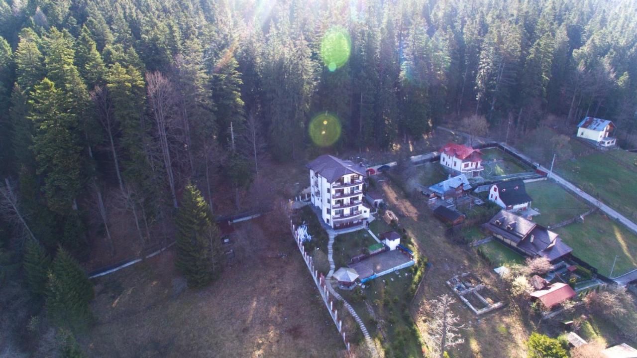 Vila Alunis Buşteni Zewnętrze zdjęcie