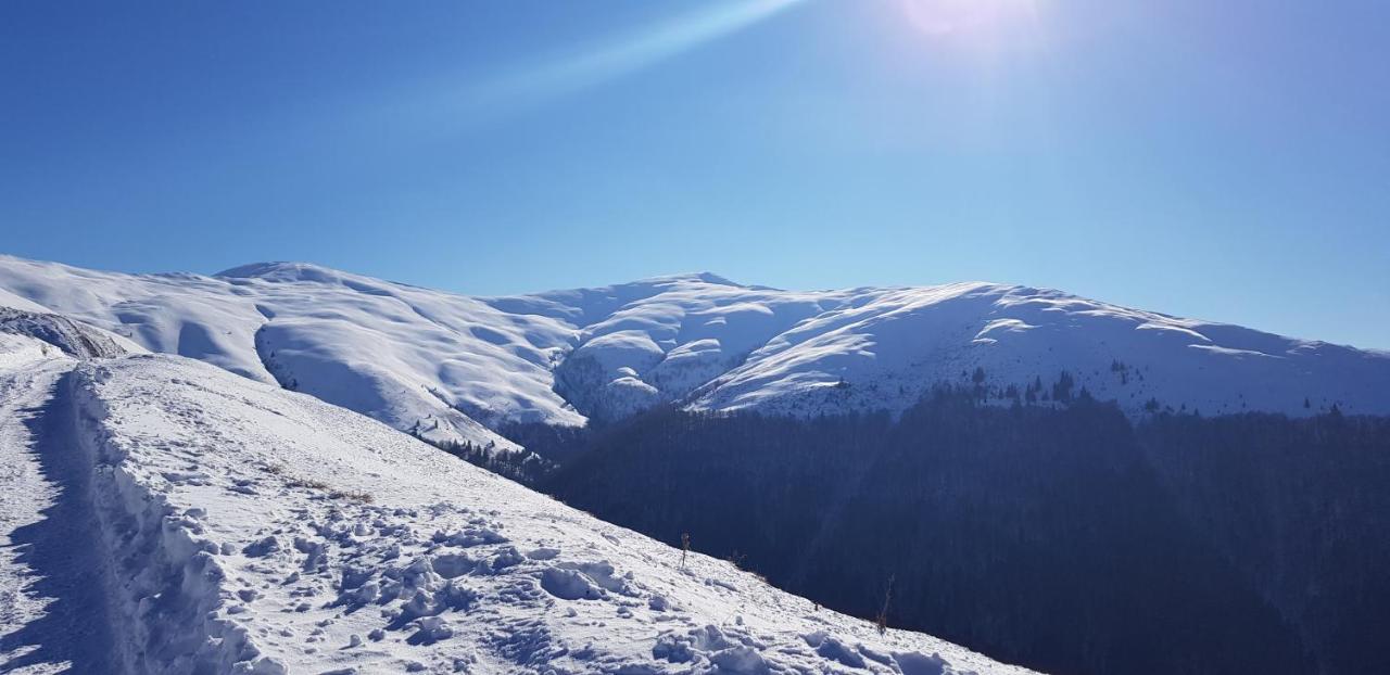 Vila Alunis Buşteni Zewnętrze zdjęcie