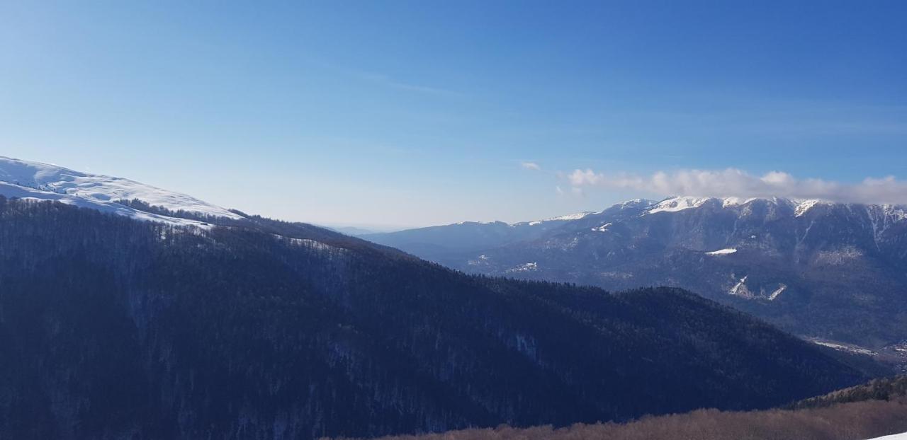 Vila Alunis Buşteni Zewnętrze zdjęcie