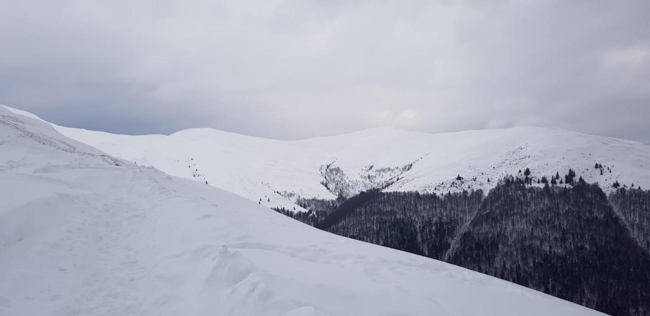Vila Alunis Buşteni Zewnętrze zdjęcie