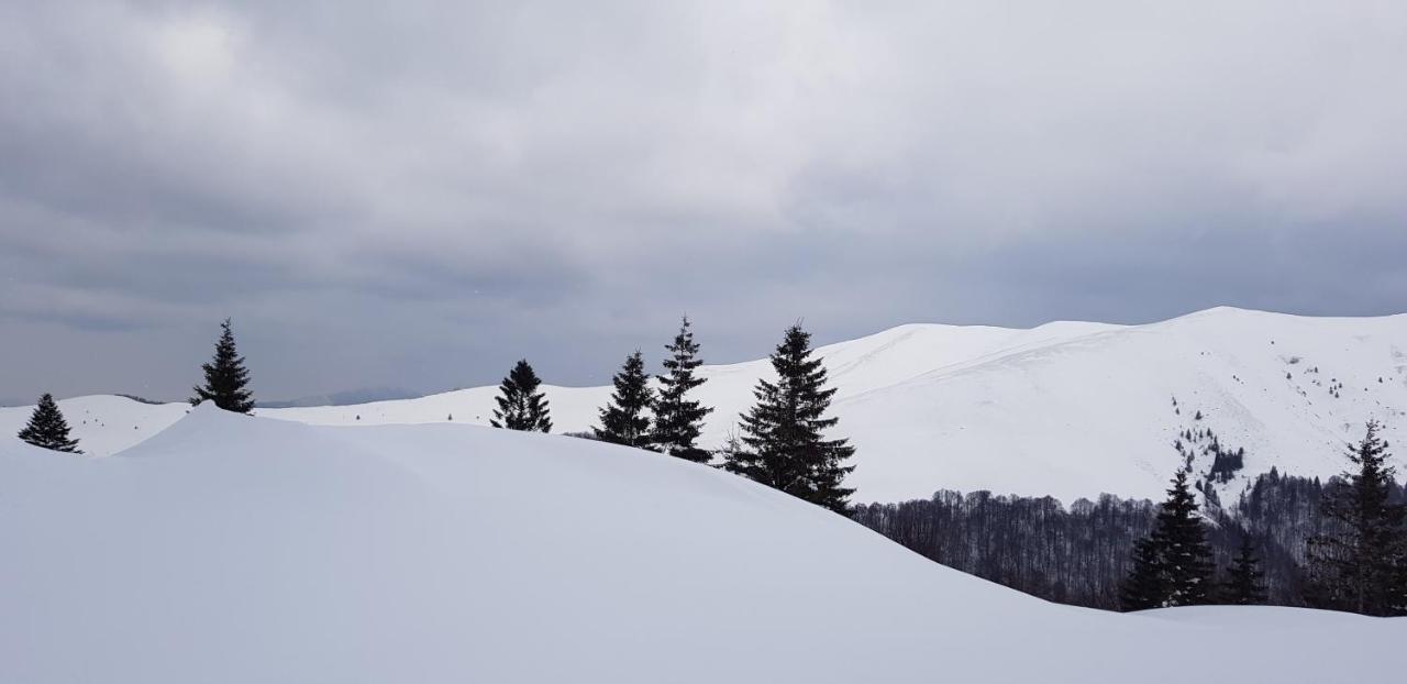 Vila Alunis Buşteni Zewnętrze zdjęcie