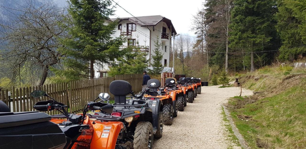 Vila Alunis Buşteni Zewnętrze zdjęcie