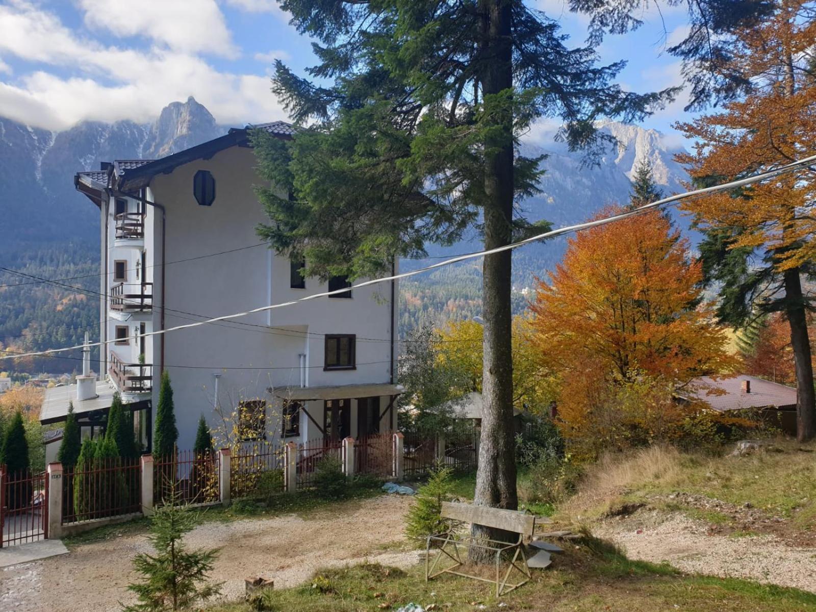 Vila Alunis Buşteni Pokój zdjęcie
